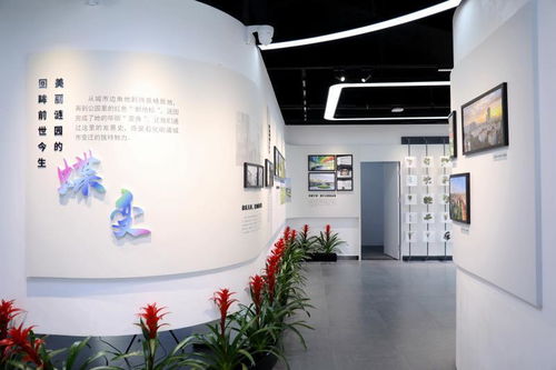 公园里的 店铺 开张,文艺党课开讲 金山这个地方举行系列活动迎 七一